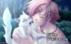 【BL游戏】猫与月夜千架 汉化版 A0347
