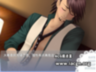 【BL游戏】Next Dream WILD ROSE A0363
